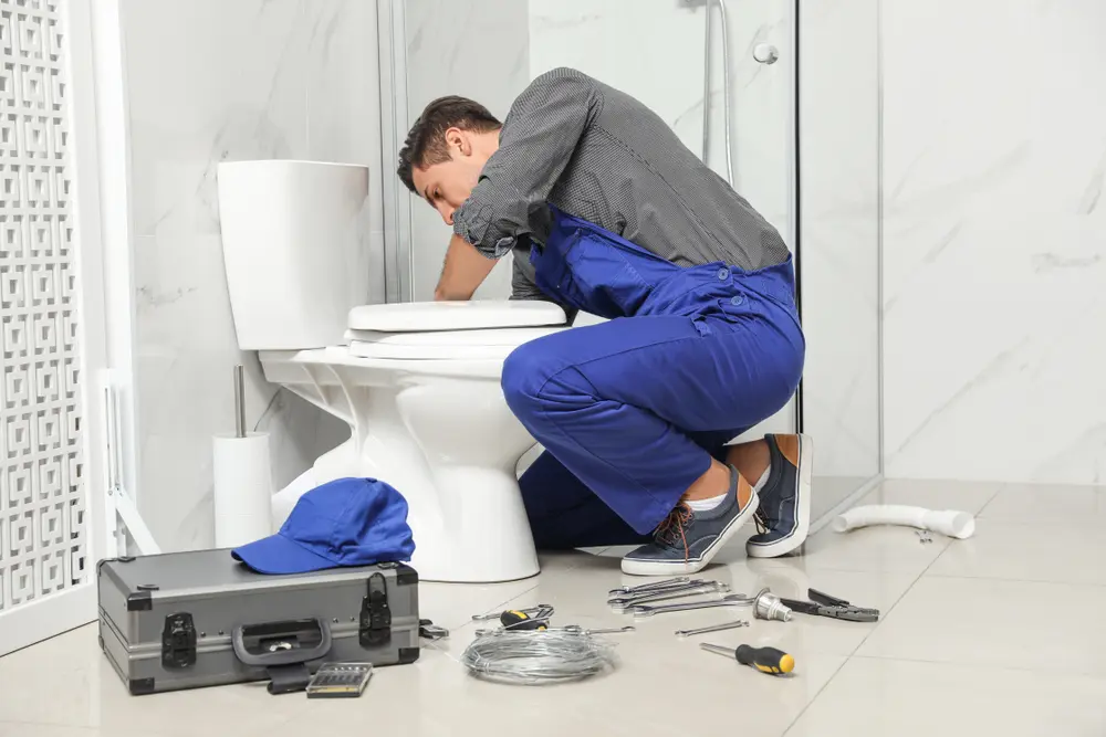 Toilet Repair in Tasley